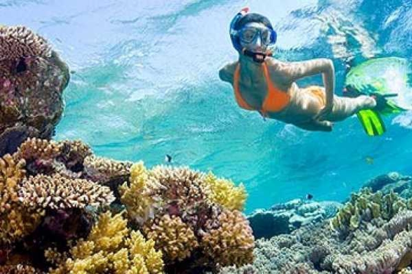 Egypt: 7-Hour Sharm El Sheikh’s Hidden Gem: Ras Mohamed National Park Guided Bus Tour 4