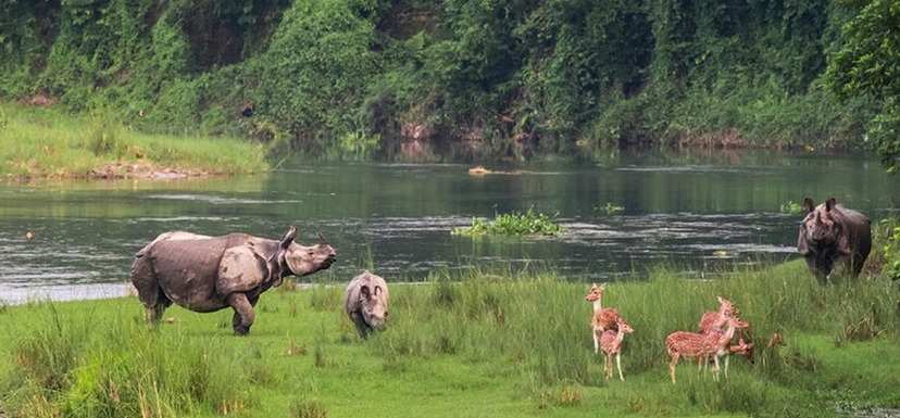 Honeymoon Holidays in Nepal 3