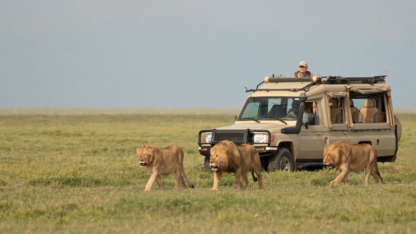 4 Days Tarangire Serengeti and Ngorongoro Crater 2