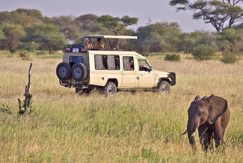4 Days Tarangire Serengeti and Ngorongoro Crater 3