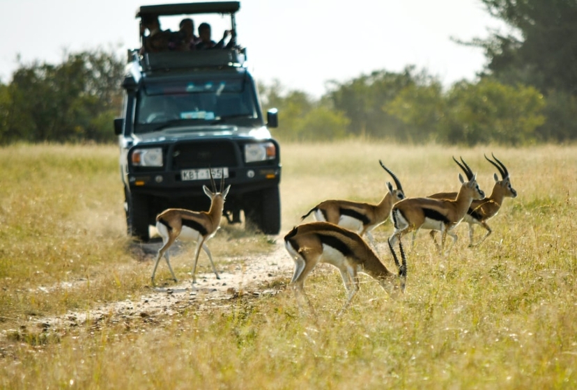 5 Days Tarangire Serengeti and Ngorongoro 3