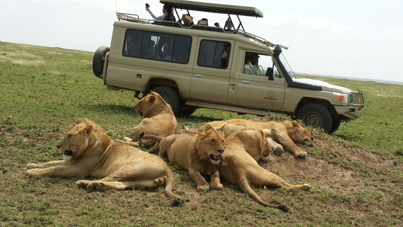 5 Days Tarangire Serengeti and Ngorongoro 4