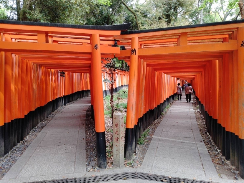 Kyoto Private Tour with National Licensed Guide 3