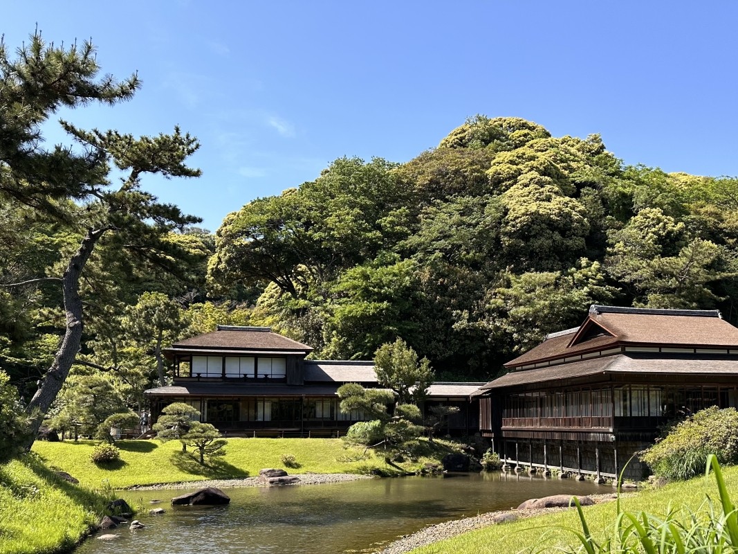 Shore Excursion Yokohama by Private Vehicle with Licensed Guide 1