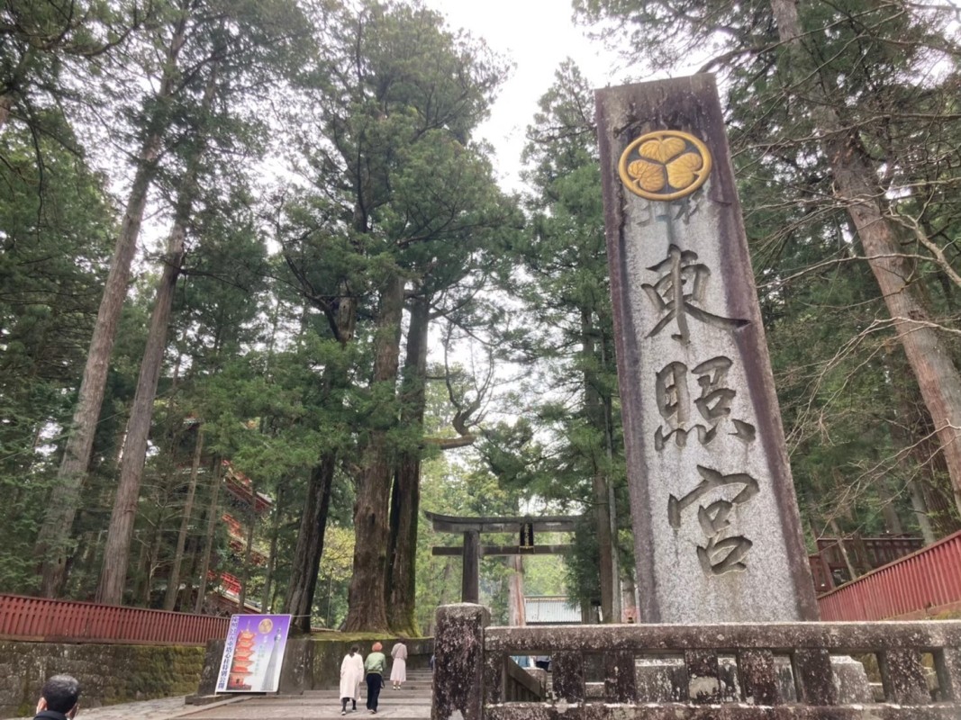 Nikko Tour from Tokyo with Licensed Guide via Private Car 1