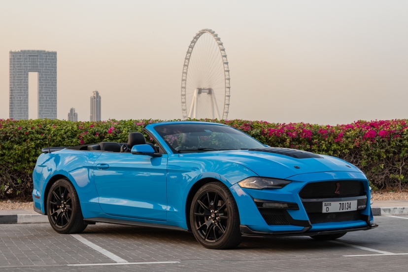 Dubai Cabrio Tour 3