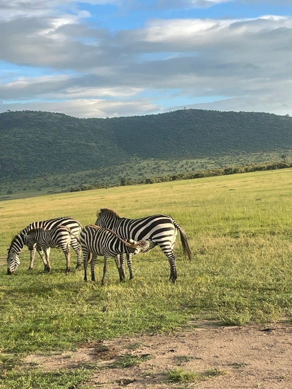 3 Days Masai Mara Group joining by safari Land cruiser 3