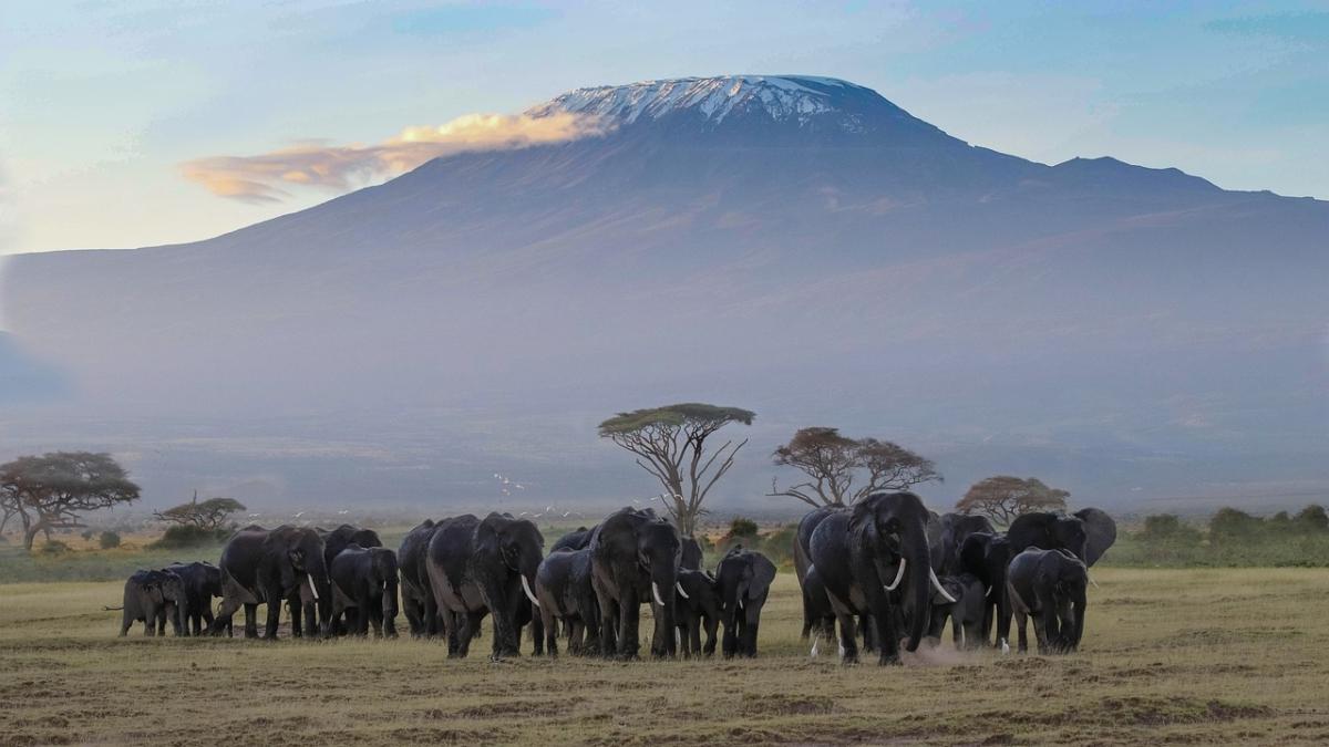3 Days Amboseli National Park 3 Days Amboseli National Park
