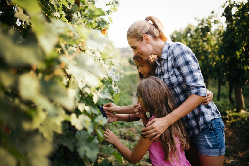 Wines, Gods and Stargazing Tour 4