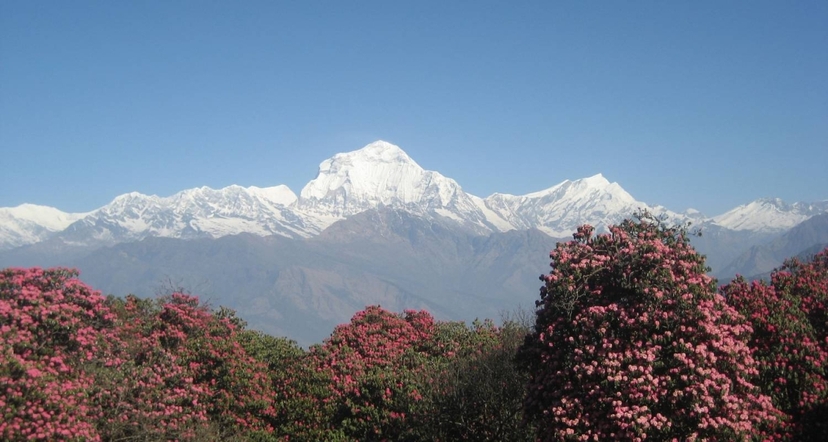 Annapurna Base Camp Trekking 3