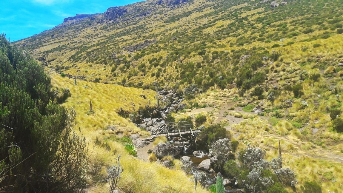 4 Days Mount Kenya Trek Using the Sirimon Route 1