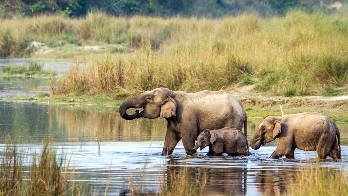 Kathmandu Chitwan Tour 1