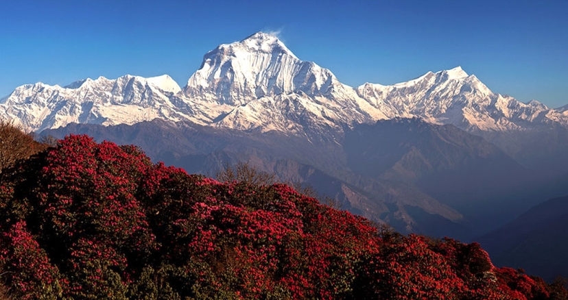 Ghorepani Poon Hill Trekking 2