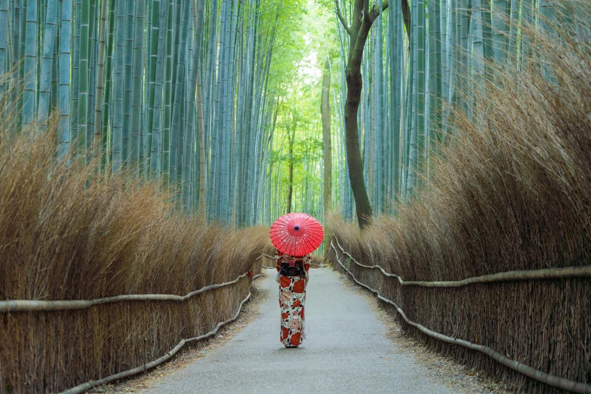 Kyoto Arashiyama Bamboo Forest, Monkey Park & Secrets Kyoto Arashiyama Bamboo Forest, Monkey Park & Secrets