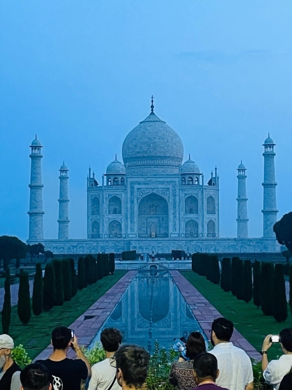 Tiger Safari With Taj Mahal Tour From Jaipur - 3 Days 3