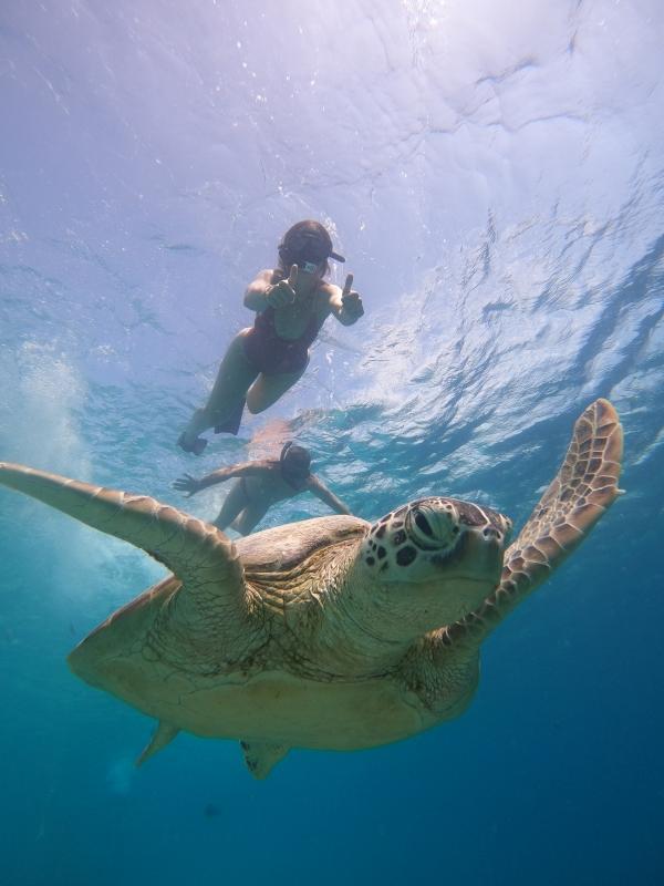 Romantic Getaway: Lombok Honeymoon Package Romantic Getaway: Lombok Honeymoon Package