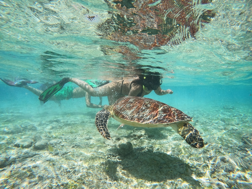 4 Days Lombok Numinous Vacation 2