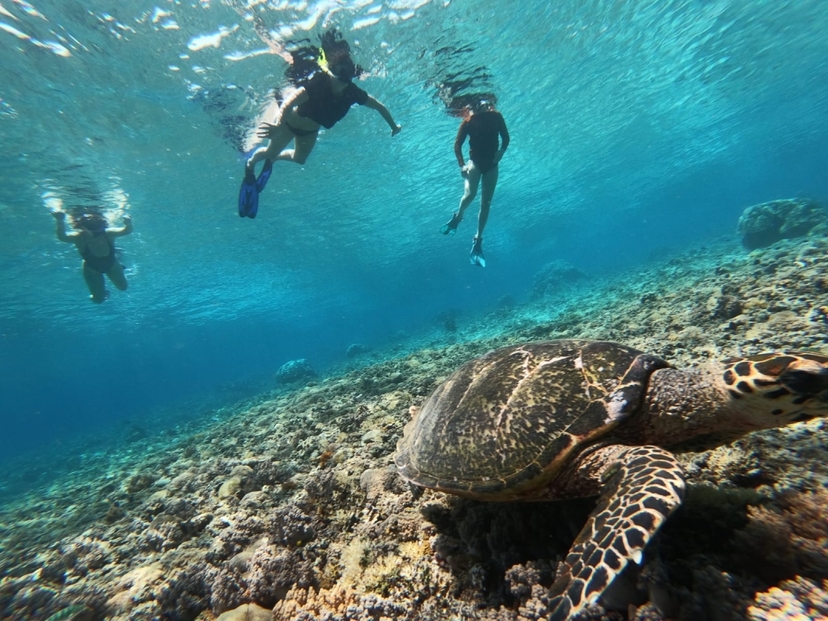 3 Days Lombok Culture and Gili's Explore 2