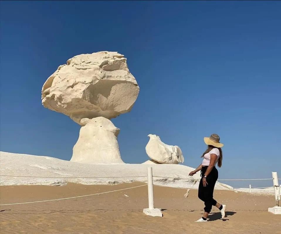 Black and White Desert Tour 2 Days 1 Night From Cairo Or Giza Black and White Desert Tour 2 Days 1 Night From Cairo Or Giza