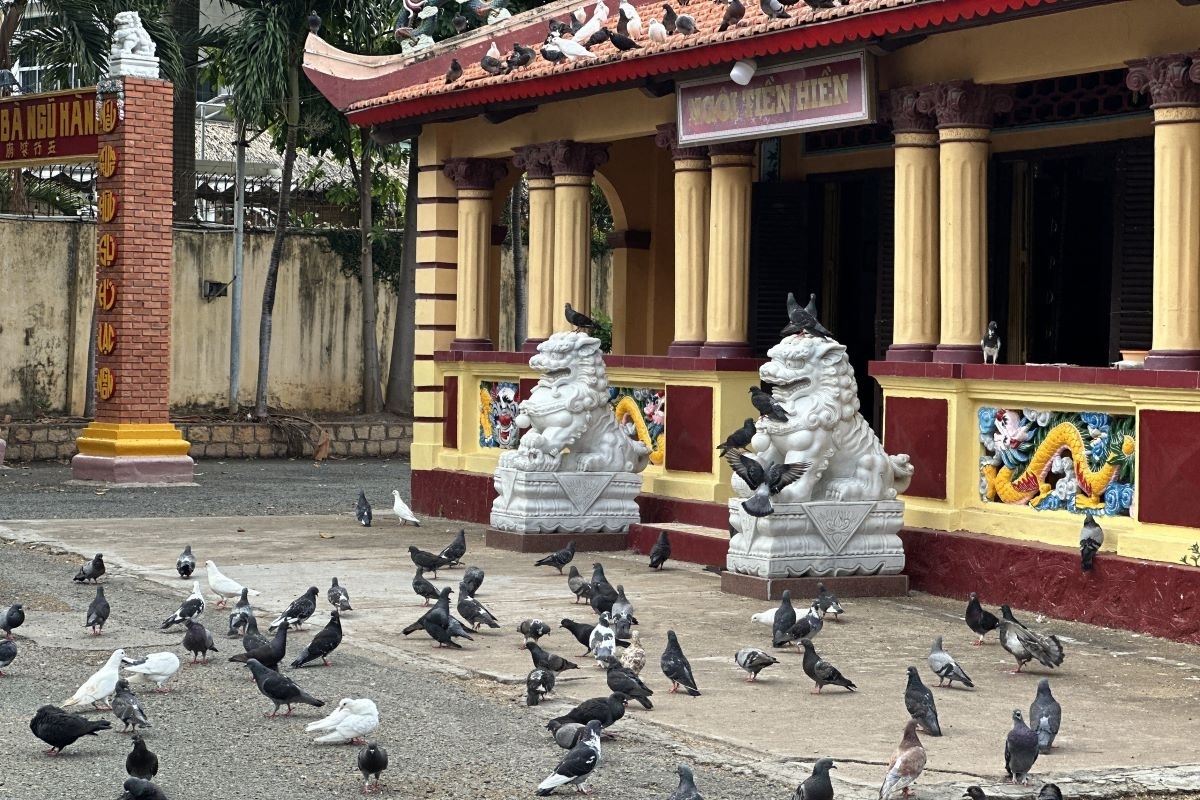Vung Tau city full day tour from Saigon 2
