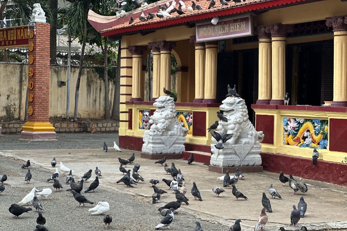 Vung Tau city full day tour from Saigon 2