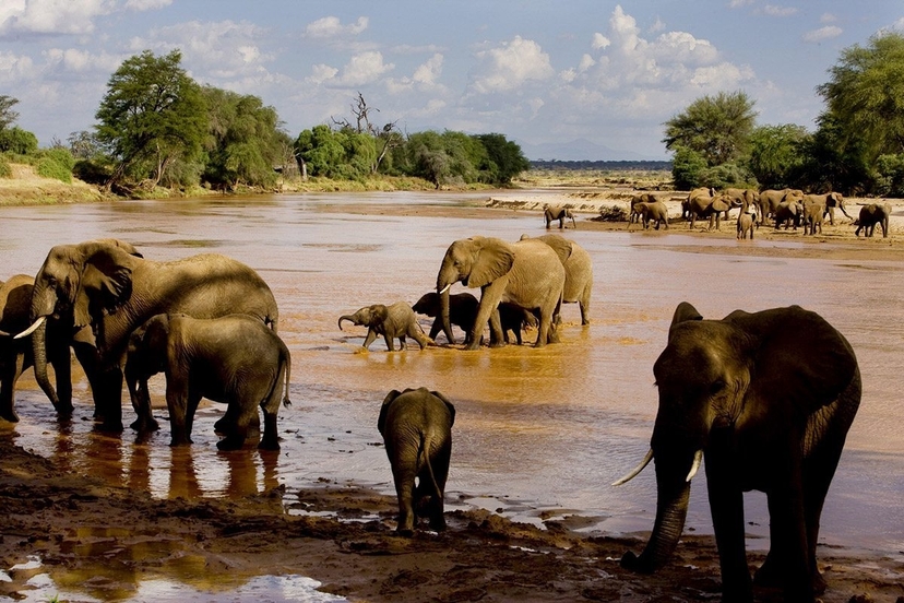 Explore Kenya's Wild Heart: 5-Day Samburu, Ol Pejeta & Aberdares Safari 4