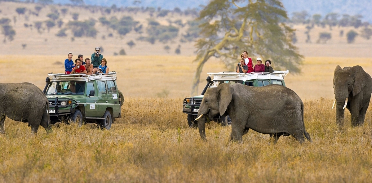 11 Days Best of Kenya & Tanzania Private 4x4 Luxury Safari- Hot Air Balloon Safari Experience 1
