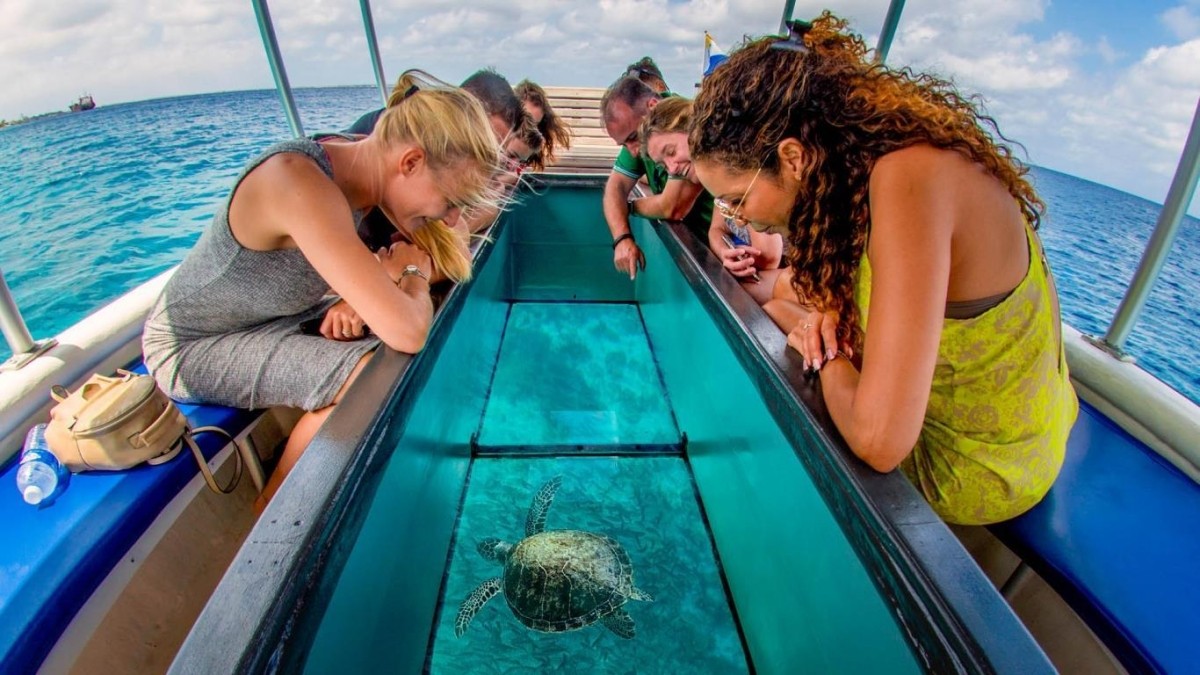 Nha Trang Fantastic Snorkeling Tour – Mun Island Marine Park & Coral Reefs 1