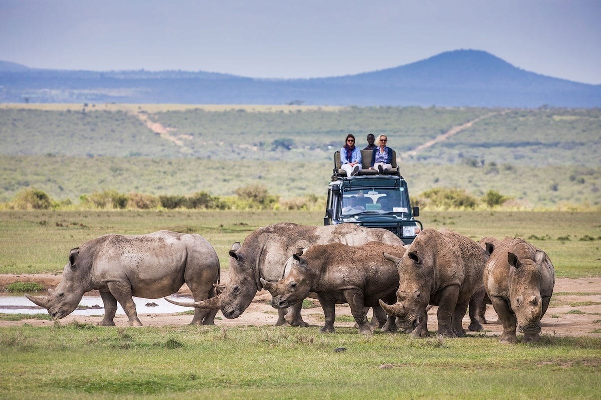 6 Days Rhino Safari to Ol Pejeta, Samburu, Solio Ranch and Aberdares Luxury Safari 1