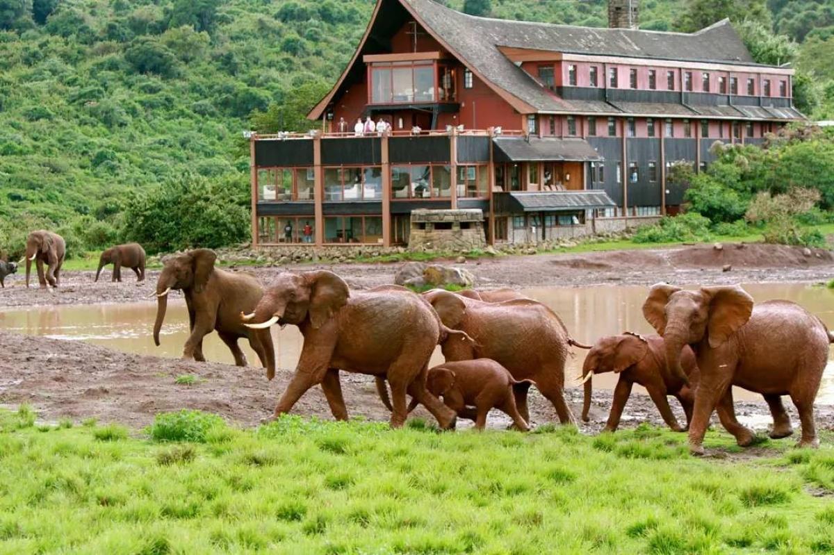 3 Days Princess to Queen Elizabeth Aberdare Luxury Safari 3 Days Princess to Queen Elizabeth Aberdare Luxury Safari