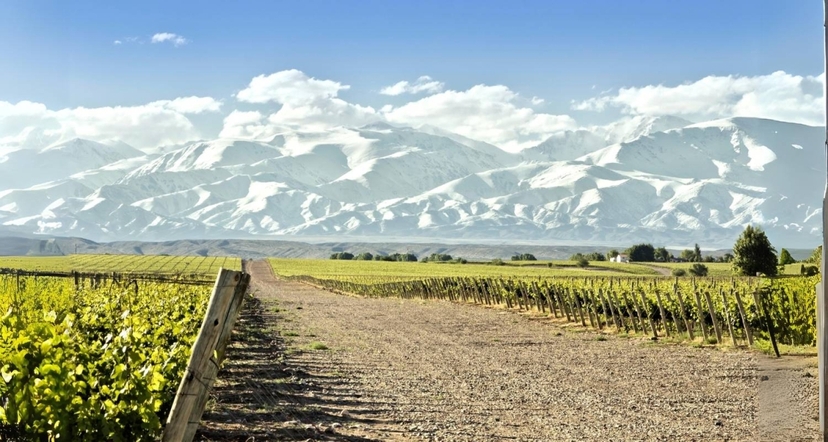4-Day Mendoza Itinerary: Exploring the Best Wine and Mountains 3