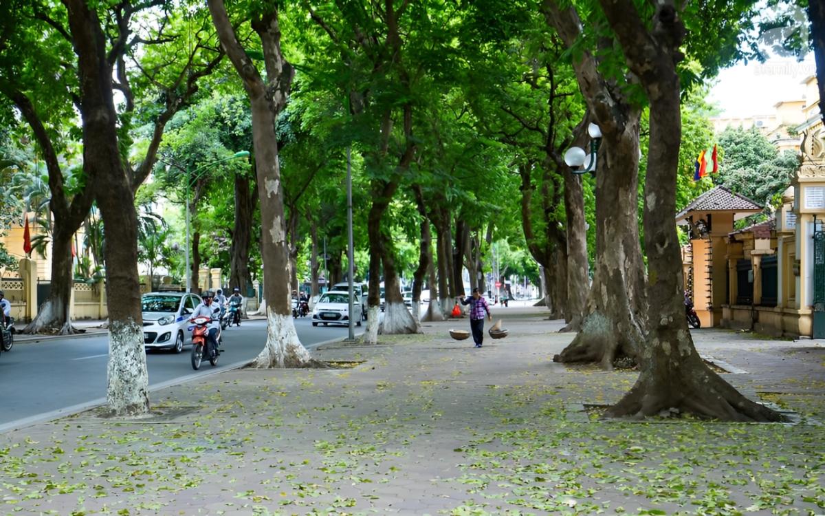 Half day Hanoi insight by vespa Half day Hanoi insight by vespa