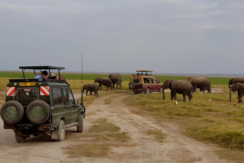 4-Day Midrange Amboseli, Tsavo West, Tsavo East Safari 2