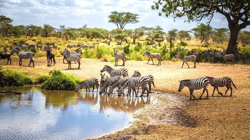 3 Days Best Wildlife Safari Tsavo East and Tsavo West From Nairobi 2