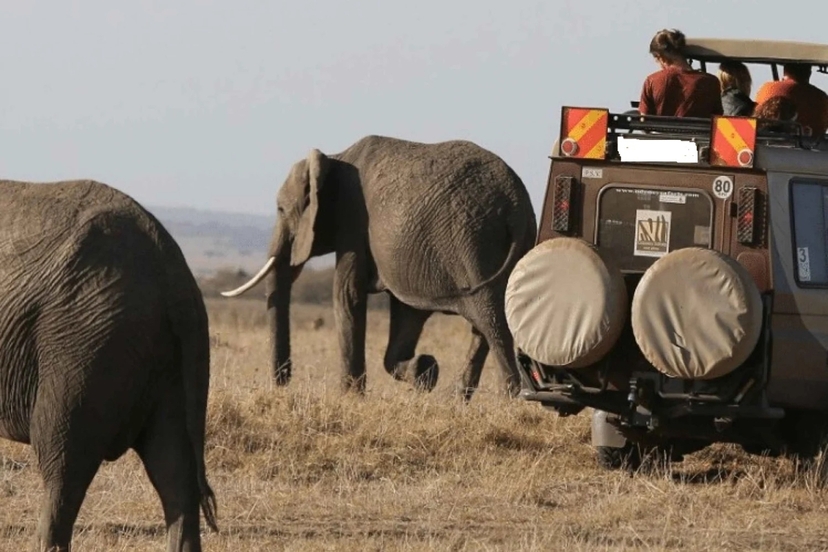 3 Days Exploring Amboseli and Tsavo West National Parks 2
