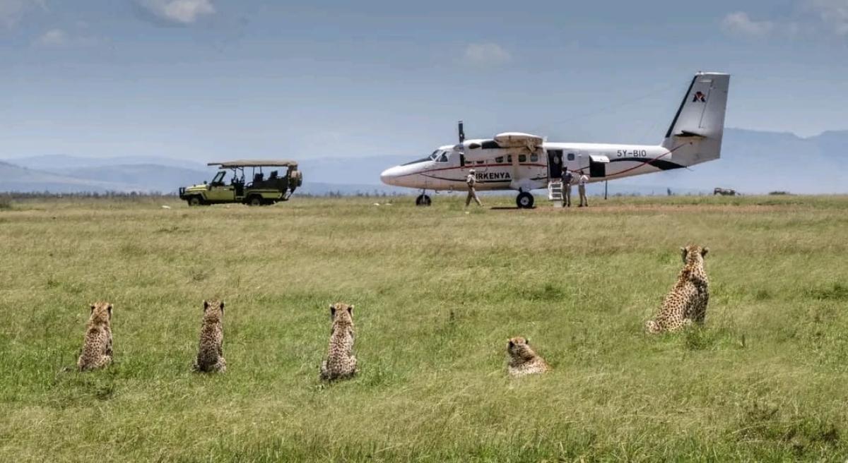 9-Day Kenya & Tanzania Safari Adventure: Wildlife, Culture, and Scenic Wonders 9-Day Kenya & Tanzania Safari Adventure: Wildlife, Culture, and Scenic Wonders