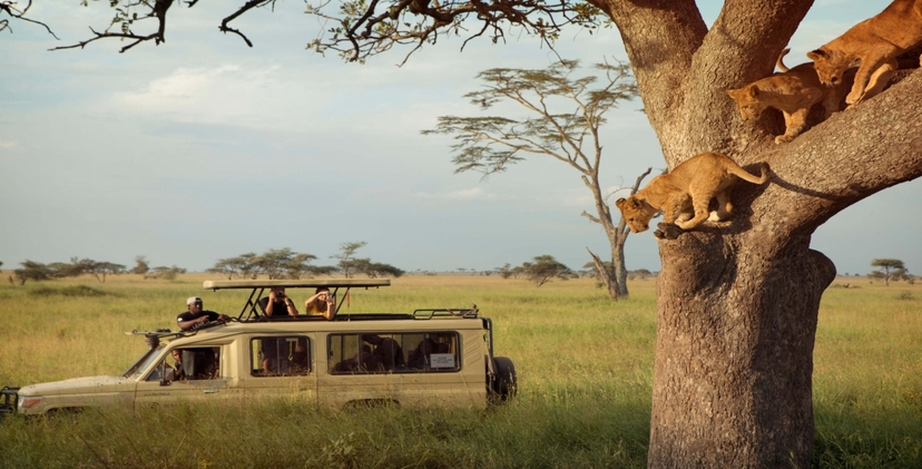 4 Days Midrange Amboseli National Park, Tsavo West and Tsavo East Safari 3