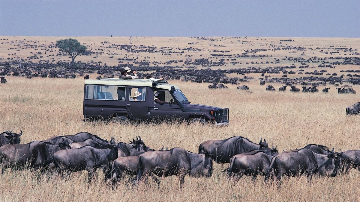 4 Day Masai Mara & Lake Nakuru Group Joining Budget Camping Safari - Daily Departures 1