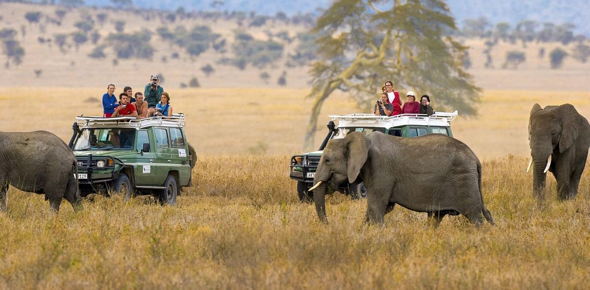 7 Days Big Five Safari to Tarangire, Serengeti, Ngorongoro Crater and Lake Manyara 7 Days Big Five Safari to Tarangire, Serengeti, Ngorongoro Crater and Lake Manyara
