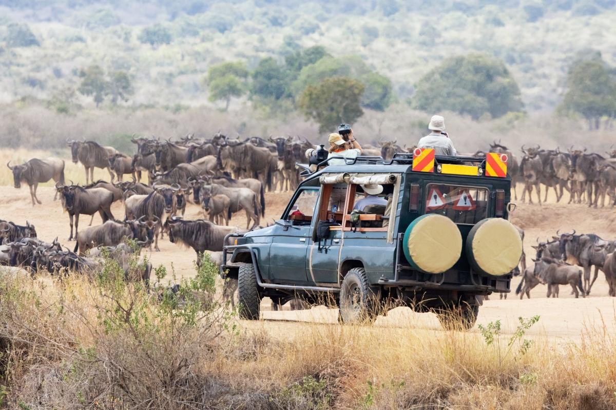 11 Days East African Classic Safari: A Journey Through the Wildebeest Migration 11 Days East African Classic Safari: A Journey Through the Wildebeest Migration