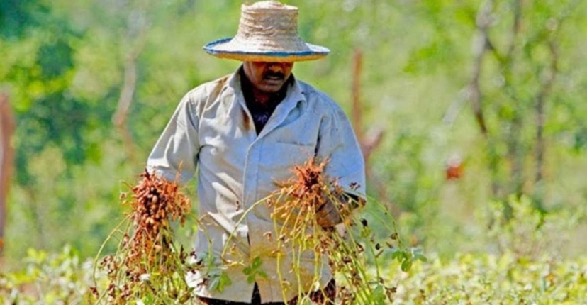 4 Nights and 5 Days Camping Experience, Safari and Rural Village Experience 2