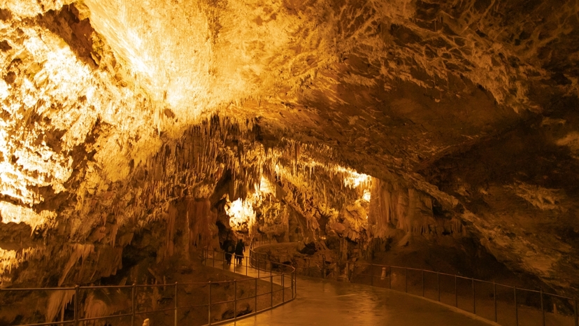Slovenia Private Tour 8 Days 7 Night 2