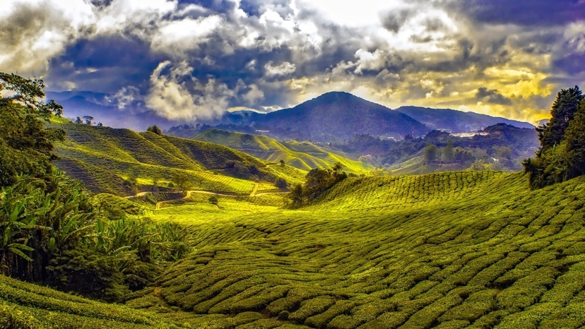 Malaysia Cultural and Historic Treasures - Customizable 3