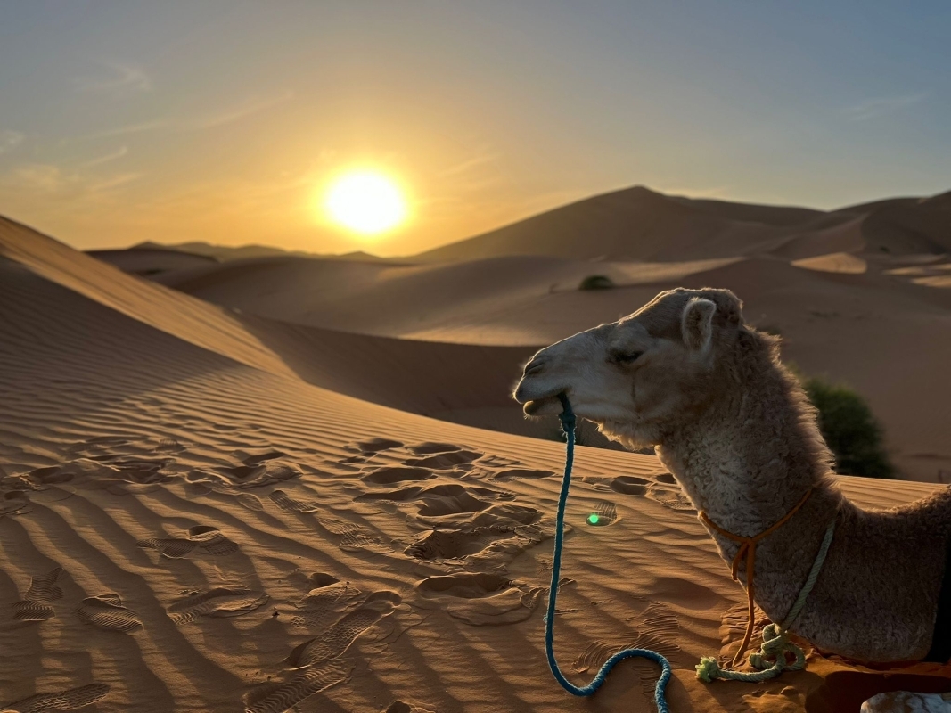 4 Days Tour from Marrakech via Merzouga Desert 1