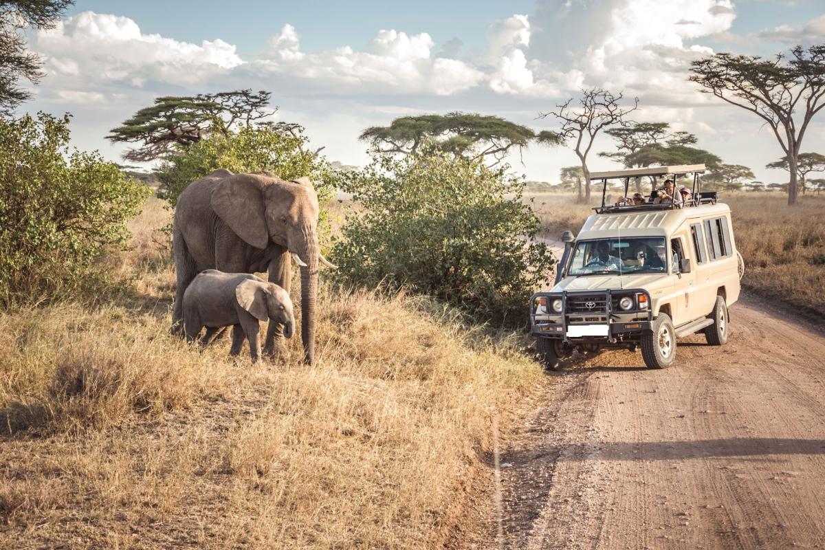 10-Days Best of Tanzania & Kenya Highlights Safari- Mid-range 10-Days Best of Tanzania & Kenya Highlights Safari- Mid-range