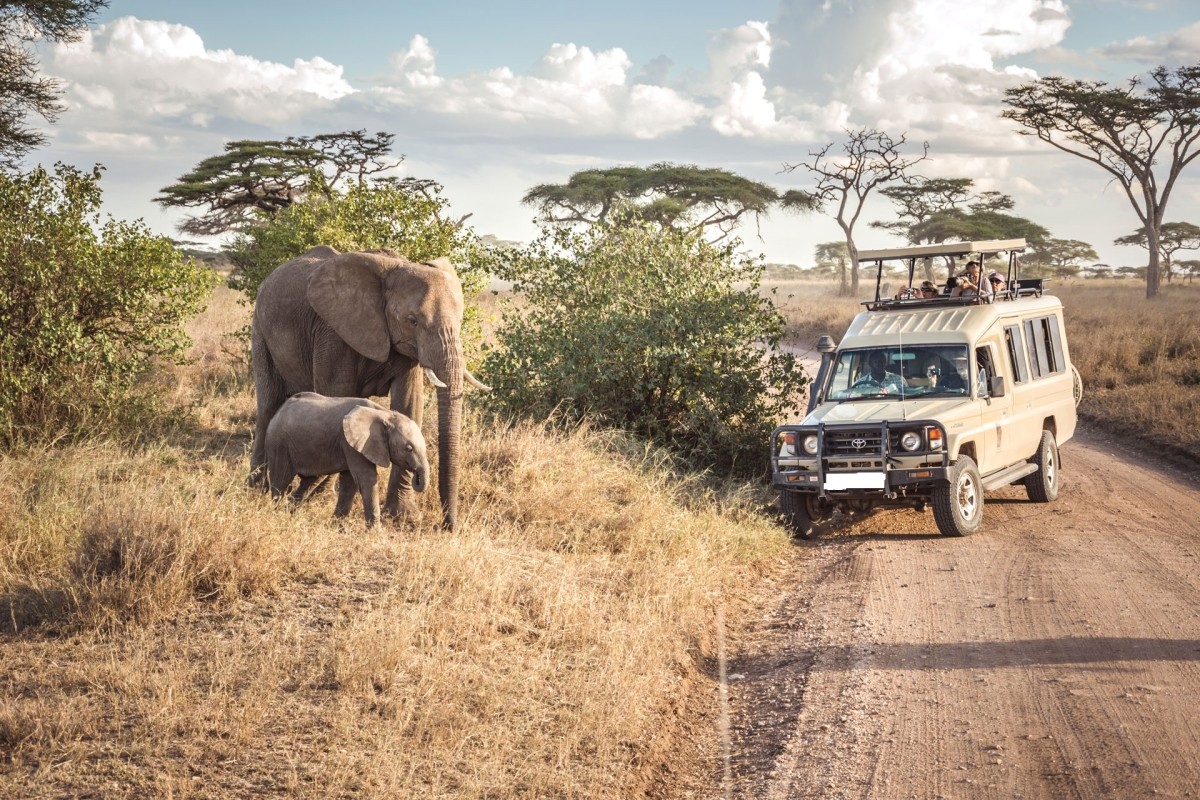 10-Days Best of Tanzania & Kenya Highlights Safari- Mid-range 1