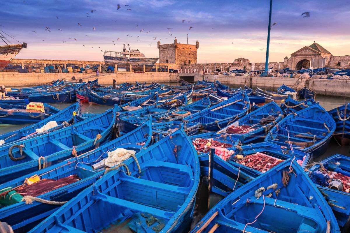 Essaouira Day Trip from Marrakech with pickup Essaouira Day Trip from Marrakech with pickup
