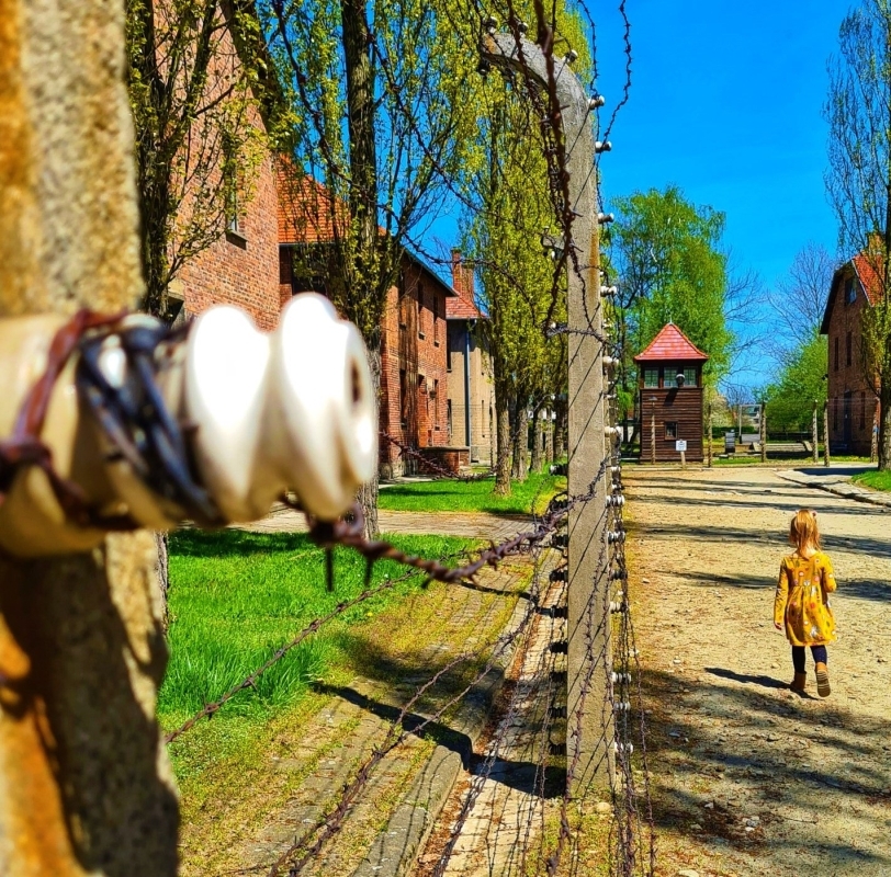 From Krakow: Auschwitz Birkenau Small Van Tour With Pickup 3