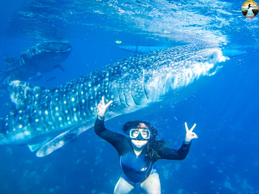 Cebu: Swim with Whale Sharks and Kawasan Canyoneering 2