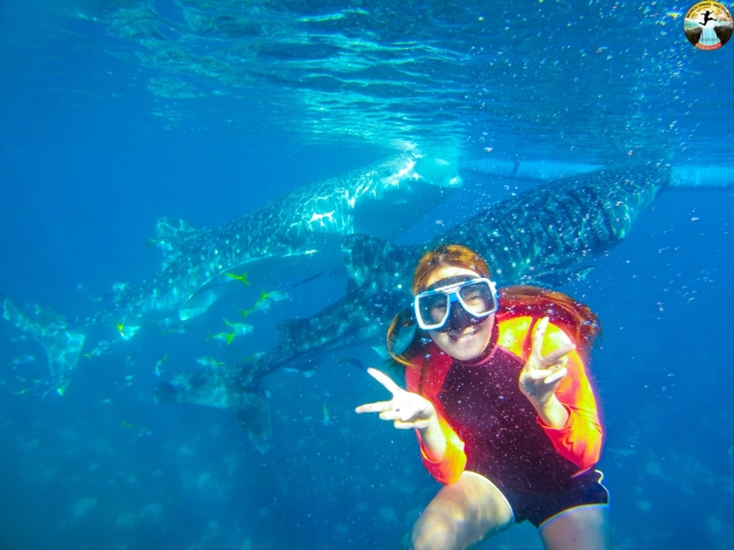 Cebu: Swim with Whale Sharks and Kawasan Canyoneering 4
